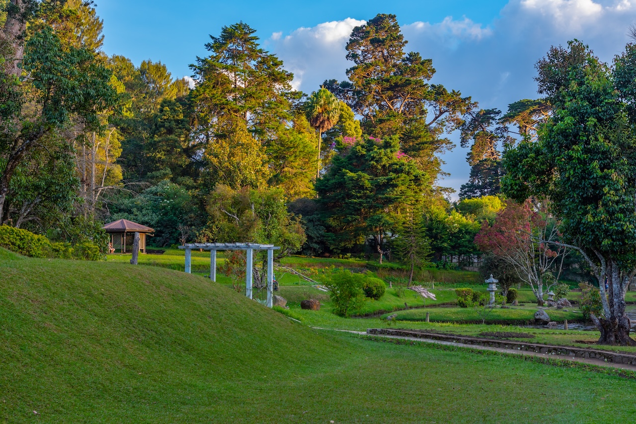 Victoria Park at Nuwara Eliya, Sri Lanka By dudlajzov